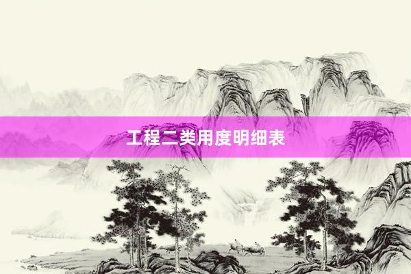 工程二类用度明细表